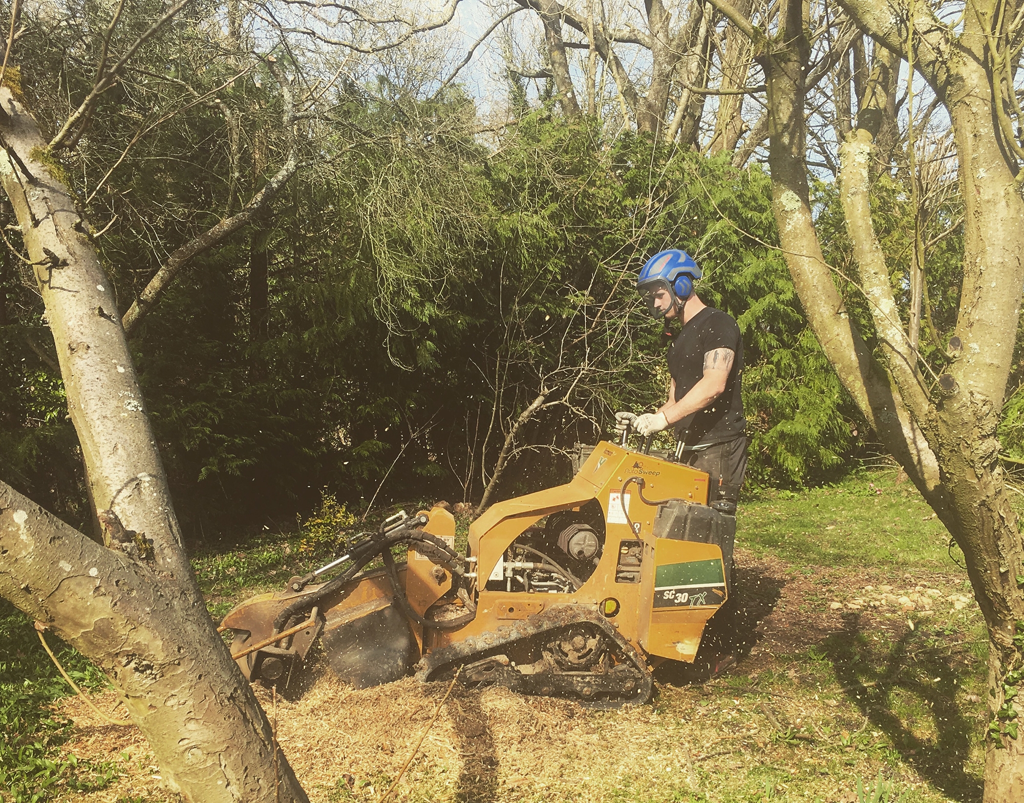 Stump Grinding Reigate