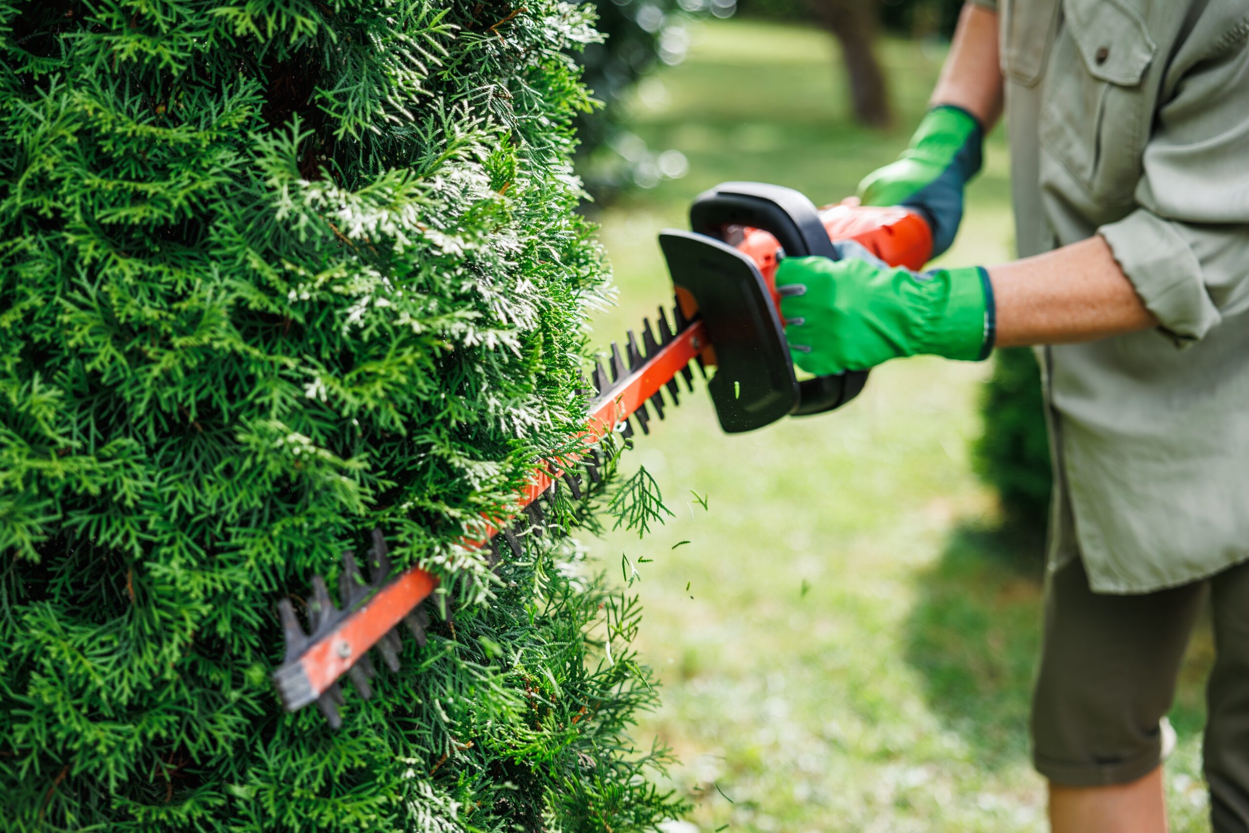 Hedge Cutting & Stump Grinding in Surrey