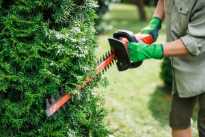 Hedge-Cutting-Stump-Grinding-in-Surrey-banner